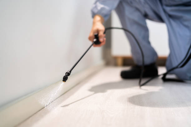 Licensed Cockroach Control service in Sardinia, OH - Nex Pest Control