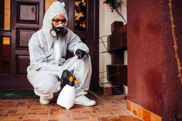 Reliable Cockroach Control contractor in Sardinia, OH by Nex Pest Control